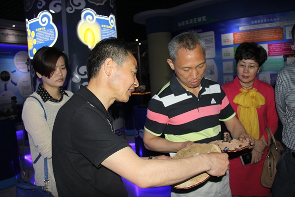 杭州亞運會官方靈芝產(chǎn)品供應(yīng)商|杭州亞運會官方供應(yīng)商|中國靈芝十大品牌|仙客來靈芝|仙客來靈芝破壁孢子粉|仙客來孢子油|仙客來靈芝飲片|仙客來破壁孢子粉|靈芝孢子油|孢子粉|靈芝破壁孢子粉|靈芝|中華老字號 杭州亞運會官方靈芝產(chǎn)品供應(yīng)商|杭州亞運會官方供應(yīng)商|中國靈芝十大品牌|仙客來靈芝|仙客來靈芝破壁孢子粉|仙客來孢子油|仙客來靈芝飲片|仙客來破壁孢子粉|靈芝孢子油|孢子粉|靈芝破壁孢子粉|靈芝|中華老字號