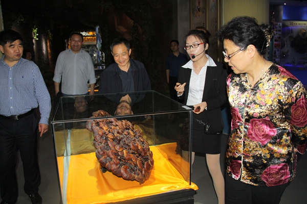 杭州亞運會官方靈芝產品供應商|杭州亞運會官方供應商|中國靈芝十大品牌|仙客來靈芝|仙客來靈芝破壁孢子粉|仙客來孢子油|仙客來靈芝飲片|仙客來破壁孢子粉|靈芝孢子油|孢子粉|靈芝破壁孢子粉|靈芝|中華老字號 杭州亞運會官方靈芝產品供應商|杭州亞運會官方供應商|中國靈芝十大品牌|仙客來靈芝|仙客來靈芝破壁孢子粉|仙客來孢子油|仙客來靈芝飲片|仙客來破壁孢子粉|靈芝孢子油|孢子粉|靈芝破壁孢子粉|靈芝|中華老字號