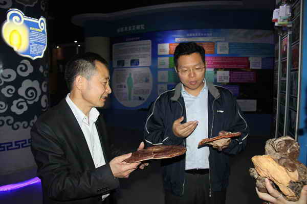 杭州亞運(yùn)會官方靈芝產(chǎn)品供應(yīng)商|杭州亞運(yùn)會官方供應(yīng)商|中國靈芝十大品牌|仙客來靈芝|仙客來靈芝破壁孢子粉|仙客來孢子油|仙客來靈芝飲片|仙客來破壁孢子粉|靈芝孢子油|孢子粉|靈芝破壁孢子粉|靈芝|中華老字號 杭州亞運(yùn)會官方靈芝產(chǎn)品供應(yīng)商|杭州亞運(yùn)會官方供應(yīng)商|中國靈芝十大品牌|仙客來靈芝|仙客來靈芝破壁孢子粉|仙客來孢子油|仙客來靈芝飲片|仙客來破壁孢子粉|靈芝孢子油|孢子粉|靈芝破壁孢子粉|靈芝|中華老字號