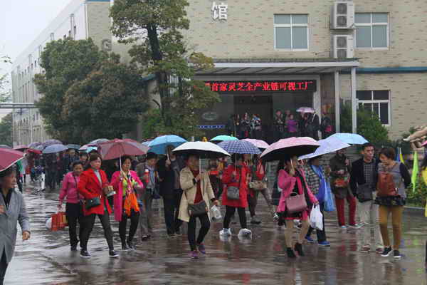 杭州亞運(yùn)會(huì)官方靈芝產(chǎn)品供應(yīng)商|杭州亞運(yùn)會(huì)官方供應(yīng)商|中國(guó)靈芝十大品牌|仙客來(lái)靈芝|仙客來(lái)靈芝破壁孢子粉|仙客來(lái)孢子油|仙客來(lái)靈芝飲片|仙客來(lái)破壁孢子粉|靈芝孢子油|孢子粉|靈芝破壁孢子粉|靈芝|中華老字號(hào) 杭州亞運(yùn)會(huì)官方靈芝產(chǎn)品供應(yīng)商|杭州亞運(yùn)會(huì)官方供應(yīng)商|中國(guó)靈芝十大品牌|仙客來(lái)靈芝|仙客來(lái)靈芝破壁孢子粉|仙客來(lái)孢子油|仙客來(lái)靈芝飲片|仙客來(lái)破壁孢子粉|靈芝孢子油|孢子粉|靈芝破壁孢子粉|靈芝|中華老字號(hào)