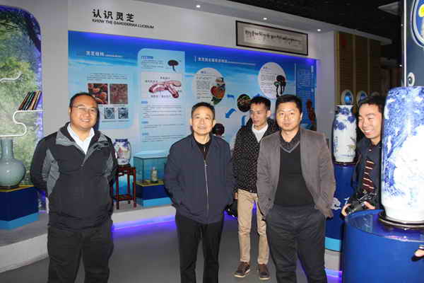 杭州亞運會官方靈芝產(chǎn)品供應商|杭州亞運會官方供應商|中國靈芝十大品牌|仙客來靈芝|仙客來靈芝破壁孢子粉|仙客來孢子油|仙客來靈芝飲片|仙客來破壁孢子粉|靈芝孢子油|孢子粉|靈芝破壁孢子粉|靈芝|中華老字號 杭州亞運會官方靈芝產(chǎn)品供應商|杭州亞運會官方供應商|中國靈芝十大品牌|仙客來靈芝|仙客來靈芝破壁孢子粉|仙客來孢子油|仙客來靈芝飲片|仙客來破壁孢子粉|靈芝孢子油|孢子粉|靈芝破壁孢子粉|靈芝|中華老字號