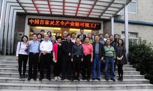 杭州亞運會官方靈芝產(chǎn)品供應商|杭州亞運會官方供應商|中國靈芝十大品牌|仙客來靈芝|仙客來靈芝破壁孢子粉|仙客來孢子油|仙客來靈芝飲片|仙客來破壁孢子粉|靈芝孢子油|孢子粉|靈芝破壁孢子粉|靈芝|中華老字號 杭州亞運會官方靈芝產(chǎn)品供應商|杭州亞運會官方供應商|中國靈芝十大品牌|仙客來靈芝|仙客來靈芝破壁孢子粉|仙客來孢子油|仙客來靈芝飲片|仙客來破壁孢子粉|靈芝孢子油|孢子粉|靈芝破壁孢子粉|靈芝|中華老字號