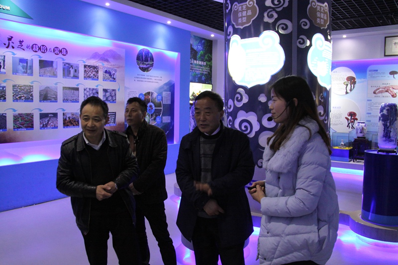 杭州亞運會官方靈芝產品供應商|杭州亞運會官方供應商|中國靈芝十大品牌|仙客來靈芝|仙客來靈芝破壁孢子粉|仙客來孢子油|仙客來靈芝飲片|仙客來破壁孢子粉|靈芝孢子油|孢子粉|靈芝破壁孢子粉|靈芝|中華老字號 杭州亞運會官方靈芝產品供應商|杭州亞運會官方供應商|中國靈芝十大品牌|仙客來靈芝|仙客來靈芝破壁孢子粉|仙客來孢子油|仙客來靈芝飲片|仙客來破壁孢子粉|靈芝孢子油|孢子粉|靈芝破壁孢子粉|靈芝|中華老字號