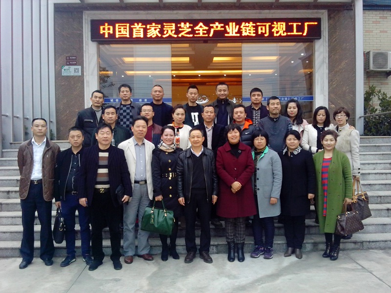 杭州亞運會官方靈芝產(chǎn)品供應(yīng)商|杭州亞運會官方供應(yīng)商|中國靈芝十大品牌|仙客來靈芝|仙客來靈芝破壁孢子粉|仙客來孢子油|仙客來靈芝飲片|仙客來破壁孢子粉|靈芝孢子油|孢子粉|靈芝破壁孢子粉|靈芝|中華老字號 杭州亞運會官方靈芝產(chǎn)品供應(yīng)商|杭州亞運會官方供應(yīng)商|中國靈芝十大品牌|仙客來靈芝|仙客來靈芝破壁孢子粉|仙客來孢子油|仙客來靈芝飲片|仙客來破壁孢子粉|靈芝孢子油|孢子粉|靈芝破壁孢子粉|靈芝|中華老字號