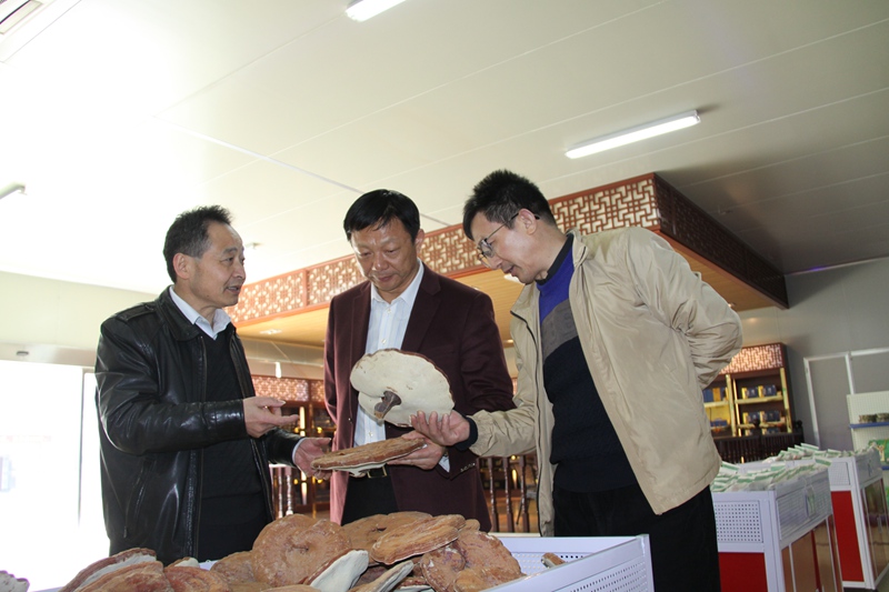 杭州亞運會官方靈芝產品供應商|杭州亞運會官方供應商|中國靈芝十大品牌|仙客來靈芝|仙客來靈芝破壁孢子粉|仙客來孢子油|仙客來靈芝飲片|仙客來破壁孢子粉|靈芝孢子油|孢子粉|靈芝破壁孢子粉|靈芝|中華老字號 杭州亞運會官方靈芝產品供應商|杭州亞運會官方供應商|中國靈芝十大品牌|仙客來靈芝|仙客來靈芝破壁孢子粉|仙客來孢子油|仙客來靈芝飲片|仙客來破壁孢子粉|靈芝孢子油|孢子粉|靈芝破壁孢子粉|靈芝|中華老字號