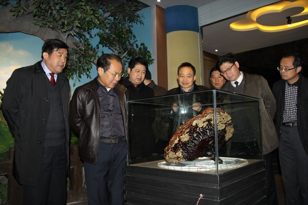 杭州亞運(yùn)會(huì)官方靈芝產(chǎn)品供應(yīng)商|杭州亞運(yùn)會(huì)官方供應(yīng)商|中國(guó)靈芝十大品牌|仙客來(lái)靈芝|仙客來(lái)靈芝破壁孢子粉|仙客來(lái)孢子油|仙客來(lái)靈芝飲片|仙客來(lái)破壁孢子粉|靈芝孢子油|孢子粉|靈芝破壁孢子粉|靈芝|中華老字號(hào) 杭州亞運(yùn)會(huì)官方靈芝產(chǎn)品供應(yīng)商|杭州亞運(yùn)會(huì)官方供應(yīng)商|中國(guó)靈芝十大品牌|仙客來(lái)靈芝|仙客來(lái)靈芝破壁孢子粉|仙客來(lái)孢子油|仙客來(lái)靈芝飲片|仙客來(lái)破壁孢子粉|靈芝孢子油|孢子粉|靈芝破壁孢子粉|靈芝|中華老字號(hào)