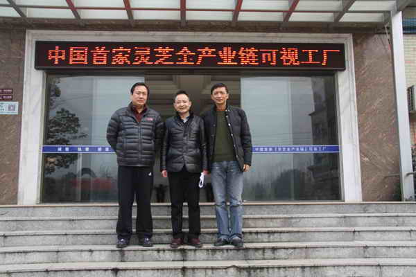 杭州亞運會官方靈芝產品供應商|杭州亞運會官方供應商|中國靈芝十大品牌|仙客來靈芝|仙客來靈芝破壁孢子粉|仙客來孢子油|仙客來靈芝飲片|仙客來破壁孢子粉|靈芝孢子油|孢子粉|靈芝破壁孢子粉|靈芝|中華老字號 杭州亞運會官方靈芝產品供應商|杭州亞運會官方供應商|中國靈芝十大品牌|仙客來靈芝|仙客來靈芝破壁孢子粉|仙客來孢子油|仙客來靈芝飲片|仙客來破壁孢子粉|靈芝孢子油|孢子粉|靈芝破壁孢子粉|靈芝|中華老字號