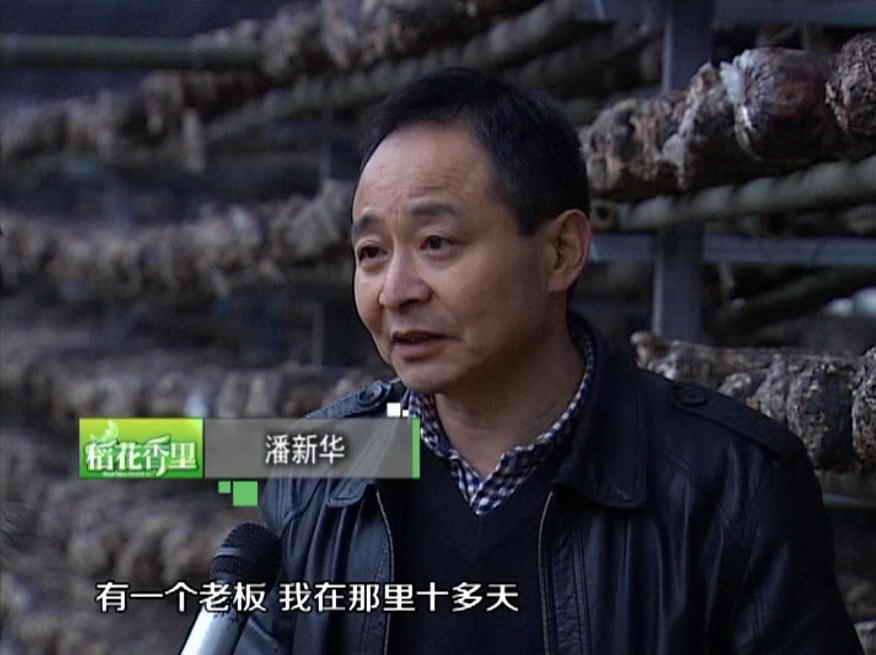 杭州亞運(yùn)會(huì)官方靈芝產(chǎn)品供應(yīng)商|杭州亞運(yùn)會(huì)官方供應(yīng)商|中國(guó)靈芝十大品牌|仙客來靈芝|仙客來靈芝破壁孢子粉|仙客來孢子油|仙客來靈芝飲片|仙客來破壁孢子粉|靈芝孢子油|孢子粉|靈芝破壁孢子粉|靈芝|中華老字號(hào)