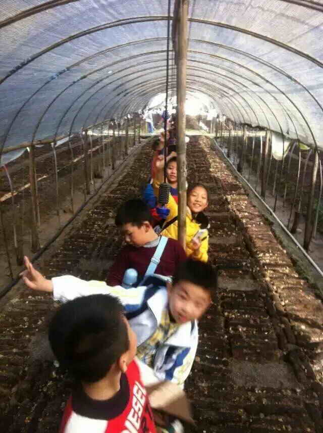 杭州亞運(yùn)會官方靈芝產(chǎn)品供應(yīng)商|杭州亞運(yùn)會官方供應(yīng)商|中國靈芝十大品牌|仙客來靈芝|仙客來靈芝破壁孢子粉|仙客來孢子油|仙客來靈芝飲片|仙客來破壁孢子粉|靈芝孢子油|孢子粉|靈芝破壁孢子粉|靈芝|中華老字號 杭州亞運(yùn)會官方靈芝產(chǎn)品供應(yīng)商|杭州亞運(yùn)會官方供應(yīng)商|中國靈芝十大品牌|仙客來靈芝|仙客來靈芝破壁孢子粉|仙客來孢子油|仙客來靈芝飲片|仙客來破壁孢子粉|靈芝孢子油|孢子粉|靈芝破壁孢子粉|靈芝|中華老字號