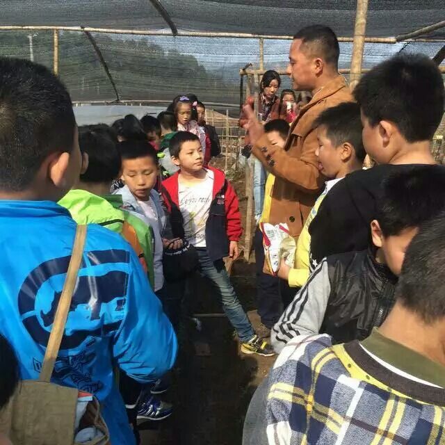 杭州亞運(yùn)會官方靈芝產(chǎn)品供應(yīng)商|杭州亞運(yùn)會官方供應(yīng)商|中國靈芝十大品牌|仙客來靈芝|仙客來靈芝破壁孢子粉|仙客來孢子油|仙客來靈芝飲片|仙客來破壁孢子粉|靈芝孢子油|孢子粉|靈芝破壁孢子粉|靈芝|中華老字號 杭州亞運(yùn)會官方靈芝產(chǎn)品供應(yīng)商|杭州亞運(yùn)會官方供應(yīng)商|中國靈芝十大品牌|仙客來靈芝|仙客來靈芝破壁孢子粉|仙客來孢子油|仙客來靈芝飲片|仙客來破壁孢子粉|靈芝孢子油|孢子粉|靈芝破壁孢子粉|靈芝|中華老字號