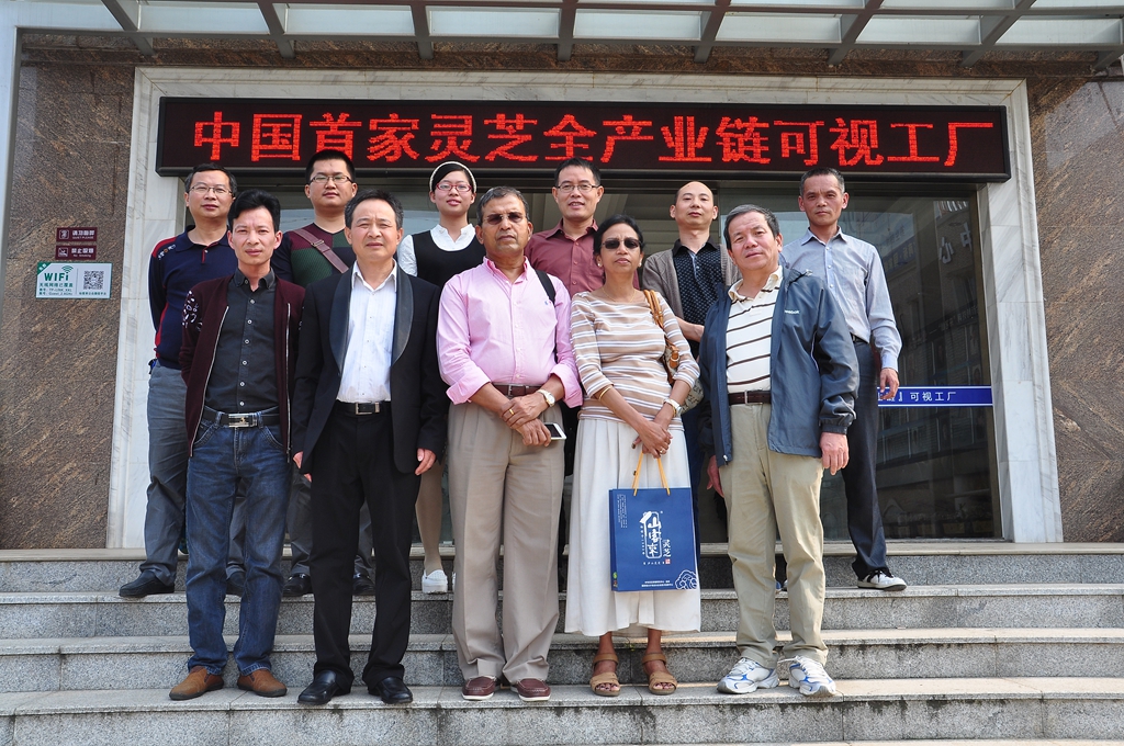 杭州亞運會官方靈芝產(chǎn)品供應(yīng)商|杭州亞運會官方供應(yīng)商|中國靈芝十大品牌|仙客來靈芝|仙客來靈芝破壁孢子粉|仙客來孢子油|仙客來靈芝飲片|仙客來破壁孢子粉|靈芝孢子油|孢子粉|靈芝破壁孢子粉|靈芝|中華老字號 杭州亞運會官方靈芝產(chǎn)品供應(yīng)商|杭州亞運會官方供應(yīng)商|中國靈芝十大品牌|仙客來靈芝|仙客來靈芝破壁孢子粉|仙客來孢子油|仙客來靈芝飲片|仙客來破壁孢子粉|靈芝孢子油|孢子粉|靈芝破壁孢子粉|靈芝|中華老字號