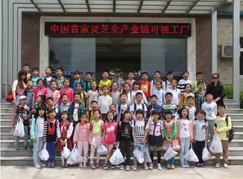 杭州亞運(yùn)會(huì)官方靈芝產(chǎn)品供應(yīng)商|杭州亞運(yùn)會(huì)官方供應(yīng)商|中國(guó)靈芝十大品牌|仙客來(lái)靈芝|仙客來(lái)靈芝破壁孢子粉|仙客來(lái)孢子油|仙客來(lái)靈芝飲片|仙客來(lái)破壁孢子粉|靈芝孢子油|孢子粉|靈芝破壁孢子粉|靈芝|中華老字號(hào) 杭州亞運(yùn)會(huì)官方靈芝產(chǎn)品供應(yīng)商|杭州亞運(yùn)會(huì)官方供應(yīng)商|中國(guó)靈芝十大品牌|仙客來(lái)靈芝|仙客來(lái)靈芝破壁孢子粉|仙客來(lái)孢子油|仙客來(lái)靈芝飲片|仙客來(lái)破壁孢子粉|靈芝孢子油|孢子粉|靈芝破壁孢子粉|靈芝|中華老字號(hào)