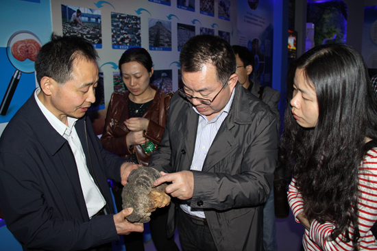 杭州亞運(yùn)會(huì)官方靈芝產(chǎn)品供應(yīng)商|杭州亞運(yùn)會(huì)官方供應(yīng)商|中國(guó)靈芝十大品牌|仙客來(lái)靈芝|仙客來(lái)靈芝破壁孢子粉|仙客來(lái)孢子油|仙客來(lái)靈芝飲片|仙客來(lái)破壁孢子粉|靈芝孢子油|孢子粉|靈芝破壁孢子粉|靈芝|中華老字號(hào) 杭州亞運(yùn)會(huì)官方靈芝產(chǎn)品供應(yīng)商|杭州亞運(yùn)會(huì)官方供應(yīng)商|中國(guó)靈芝十大品牌|仙客來(lái)靈芝|仙客來(lái)靈芝破壁孢子粉|仙客來(lái)孢子油|仙客來(lái)靈芝飲片|仙客來(lái)破壁孢子粉|靈芝孢子油|孢子粉|靈芝破壁孢子粉|靈芝|中華老字號(hào)