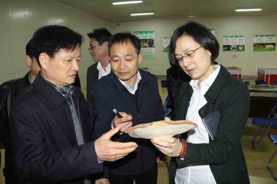 杭州亞運(yùn)會(huì)官方靈芝產(chǎn)品供應(yīng)商|杭州亞運(yùn)會(huì)官方供應(yīng)商|中國靈芝十大品牌|仙客來靈芝|仙客來靈芝破壁孢子粉|仙客來孢子油|仙客來靈芝飲片|仙客來破壁孢子粉|靈芝孢子油|孢子粉|靈芝破壁孢子粉|靈芝|中華老字號(hào) 杭州亞運(yùn)會(huì)官方靈芝產(chǎn)品供應(yīng)商|杭州亞運(yùn)會(huì)官方供應(yīng)商|中國靈芝十大品牌|仙客來靈芝|仙客來靈芝破壁孢子粉|仙客來孢子油|仙客來靈芝飲片|仙客來破壁孢子粉|靈芝孢子油|孢子粉|靈芝破壁孢子粉|靈芝|中華老字號(hào)