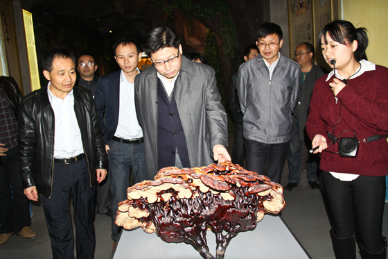 杭州亞運會官方靈芝產(chǎn)品供應商|杭州亞運會官方供應商|中國靈芝十大品牌|仙客來靈芝|仙客來靈芝破壁孢子粉|仙客來孢子油|仙客來靈芝飲片|仙客來破壁孢子粉|靈芝孢子油|孢子粉|靈芝破壁孢子粉|靈芝|中華老字號 杭州亞運會官方靈芝產(chǎn)品供應商|杭州亞運會官方供應商|中國靈芝十大品牌|仙客來靈芝|仙客來靈芝破壁孢子粉|仙客來孢子油|仙客來靈芝飲片|仙客來破壁孢子粉|靈芝孢子油|孢子粉|靈芝破壁孢子粉|靈芝|中華老字號