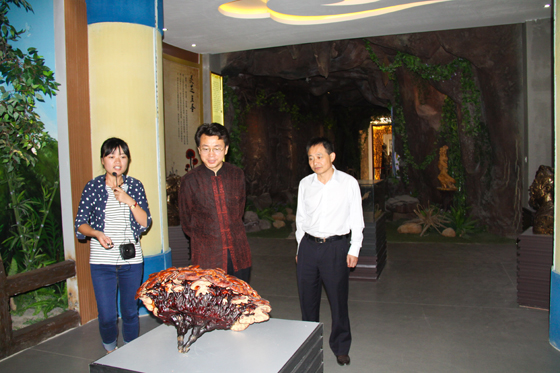 杭州亞運會官方靈芝產(chǎn)品供應商|杭州亞運會官方供應商|中國靈芝十大品牌|仙客來靈芝|仙客來靈芝破壁孢子粉|仙客來孢子油|仙客來靈芝飲片|仙客來破壁孢子粉|靈芝孢子油|孢子粉|靈芝破壁孢子粉|靈芝|中華老字號