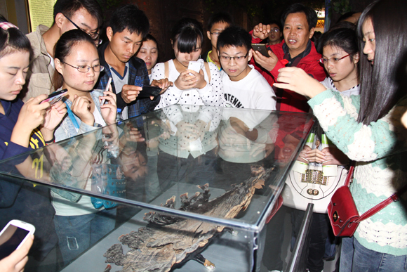 杭州亞運(yùn)會(huì)官方靈芝產(chǎn)品供應(yīng)商|杭州亞運(yùn)會(huì)官方供應(yīng)商|中國(guó)靈芝十大品牌|仙客來靈芝|仙客來靈芝破壁孢子粉|仙客來孢子油|仙客來靈芝飲片|仙客來破壁孢子粉|靈芝孢子油|孢子粉|靈芝破壁孢子粉|靈芝|中華老字號(hào) 杭州亞運(yùn)會(huì)官方靈芝產(chǎn)品供應(yīng)商|杭州亞運(yùn)會(huì)官方供應(yīng)商|中國(guó)靈芝十大品牌|仙客來靈芝|仙客來靈芝破壁孢子粉|仙客來孢子油|仙客來靈芝飲片|仙客來破壁孢子粉|靈芝孢子油|孢子粉|靈芝破壁孢子粉|靈芝|中華老字號(hào)