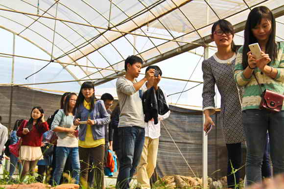 杭州亞運(yùn)會(huì)官方靈芝產(chǎn)品供應(yīng)商|杭州亞運(yùn)會(huì)官方供應(yīng)商|中國(guó)靈芝十大品牌|仙客來靈芝|仙客來靈芝破壁孢子粉|仙客來孢子油|仙客來靈芝飲片|仙客來破壁孢子粉|靈芝孢子油|孢子粉|靈芝破壁孢子粉|靈芝|中華老字號(hào) 杭州亞運(yùn)會(huì)官方靈芝產(chǎn)品供應(yīng)商|杭州亞運(yùn)會(huì)官方供應(yīng)商|中國(guó)靈芝十大品牌|仙客來靈芝|仙客來靈芝破壁孢子粉|仙客來孢子油|仙客來靈芝飲片|仙客來破壁孢子粉|靈芝孢子油|孢子粉|靈芝破壁孢子粉|靈芝|中華老字號(hào)