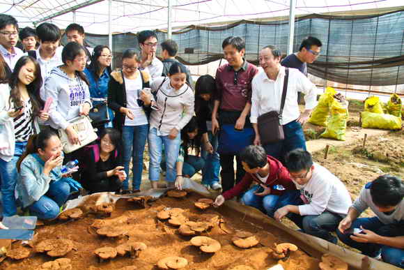 杭州亞運(yùn)會(huì)官方靈芝產(chǎn)品供應(yīng)商|杭州亞運(yùn)會(huì)官方供應(yīng)商|中國(guó)靈芝十大品牌|仙客來靈芝|仙客來靈芝破壁孢子粉|仙客來孢子油|仙客來靈芝飲片|仙客來破壁孢子粉|靈芝孢子油|孢子粉|靈芝破壁孢子粉|靈芝|中華老字號(hào) 杭州亞運(yùn)會(huì)官方靈芝產(chǎn)品供應(yīng)商|杭州亞運(yùn)會(huì)官方供應(yīng)商|中國(guó)靈芝十大品牌|仙客來靈芝|仙客來靈芝破壁孢子粉|仙客來孢子油|仙客來靈芝飲片|仙客來破壁孢子粉|靈芝孢子油|孢子粉|靈芝破壁孢子粉|靈芝|中華老字號(hào)