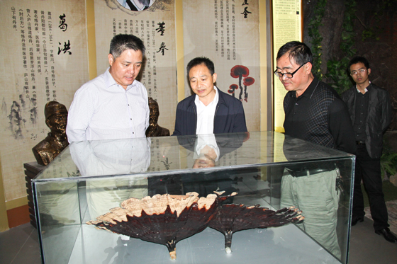 杭州亞運會官方靈芝產(chǎn)品供應(yīng)商|杭州亞運會官方供應(yīng)商|中國靈芝十大品牌|仙客來靈芝|仙客來靈芝破壁孢子粉|仙客來孢子油|仙客來靈芝飲片|仙客來破壁孢子粉|靈芝孢子油|孢子粉|靈芝破壁孢子粉|靈芝|中華老字號 杭州亞運會官方靈芝產(chǎn)品供應(yīng)商|杭州亞運會官方供應(yīng)商|中國靈芝十大品牌|仙客來靈芝|仙客來靈芝破壁孢子粉|仙客來孢子油|仙客來靈芝飲片|仙客來破壁孢子粉|靈芝孢子油|孢子粉|靈芝破壁孢子粉|靈芝|中華老字號