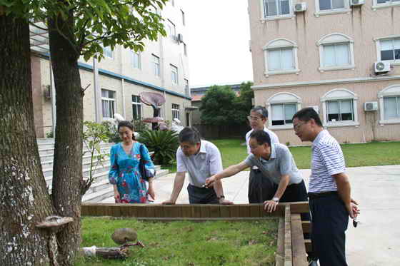 杭州亞運會官方靈芝產(chǎn)品供應商|杭州亞運會官方供應商|中國靈芝十大品牌|仙客來靈芝|仙客來靈芝破壁孢子粉|仙客來孢子油|仙客來靈芝飲片|仙客來破壁孢子粉|靈芝孢子油|孢子粉|靈芝破壁孢子粉|靈芝|中華老字號 杭州亞運會官方靈芝產(chǎn)品供應商|杭州亞運會官方供應商|中國靈芝十大品牌|仙客來靈芝|仙客來靈芝破壁孢子粉|仙客來孢子油|仙客來靈芝飲片|仙客來破壁孢子粉|靈芝孢子油|孢子粉|靈芝破壁孢子粉|靈芝|中華老字號