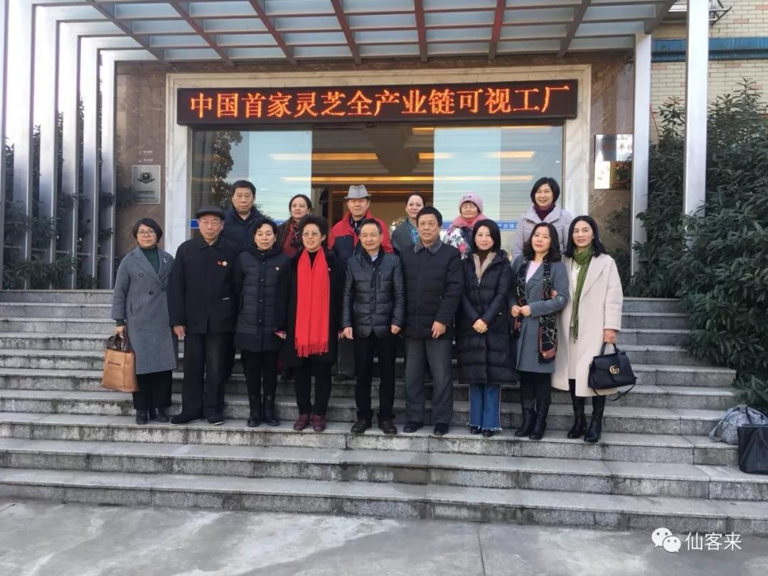 中國靈芝十大品牌|仙客來靈芝|仙客來靈芝破壁孢子粉|仙客來孢子油|仙客來靈芝飲片|仙客來破壁孢子粉|仙客來靈芝中藥飲片|馳名商標(biāo)|www.stfilm.cn|