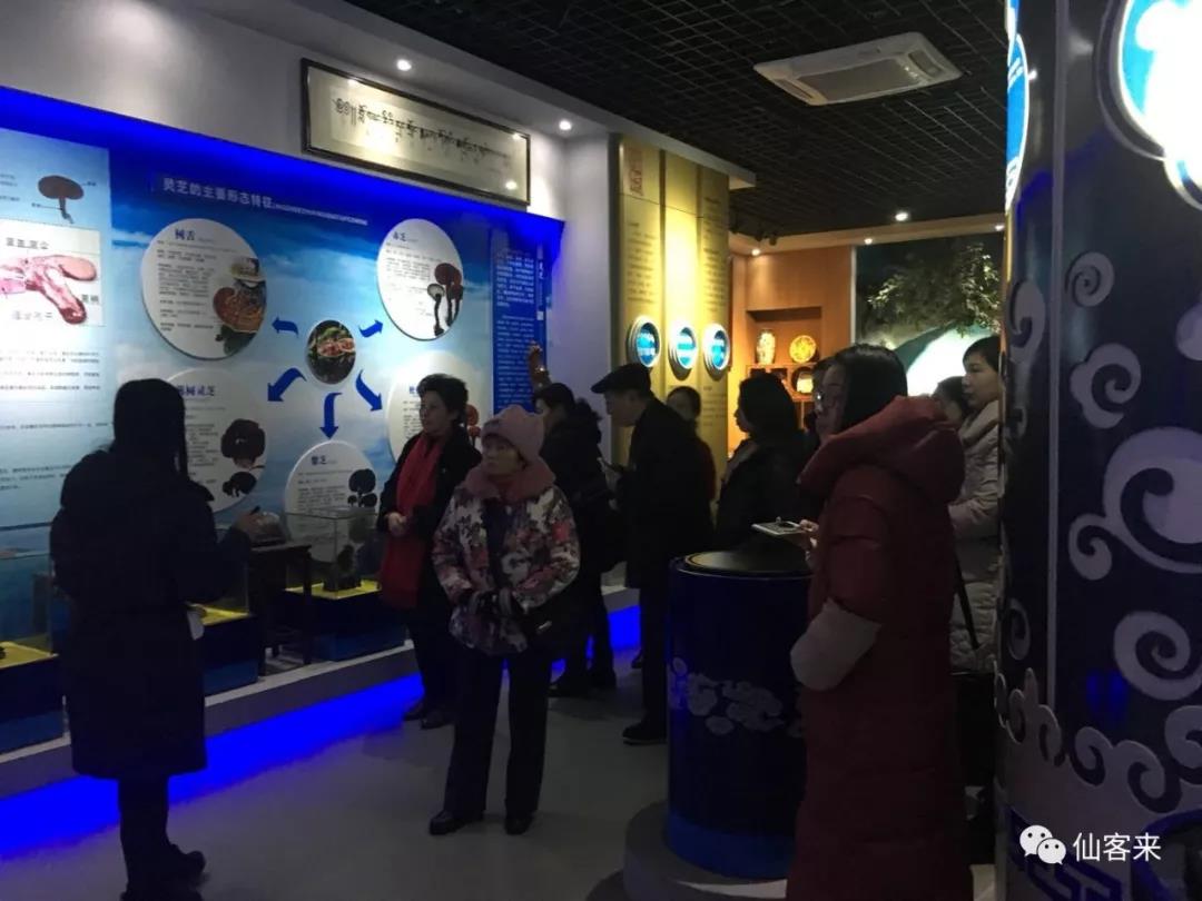 中國靈芝十大品牌|仙客來靈芝|仙客來靈芝破壁孢子粉|仙客來孢子油|仙客來靈芝飲片|仙客來破壁孢子粉|仙客來靈芝中藥飲片|馳名商標(biāo)|www.stfilm.cn| 中國靈芝十大品牌|仙客來靈芝|仙客來靈芝破壁孢子粉|仙客來孢子油|仙客來靈芝飲片|仙客來破壁孢子粉|仙客來靈芝中藥飲片|馳名商標(biāo)|www.stfilm.cn|