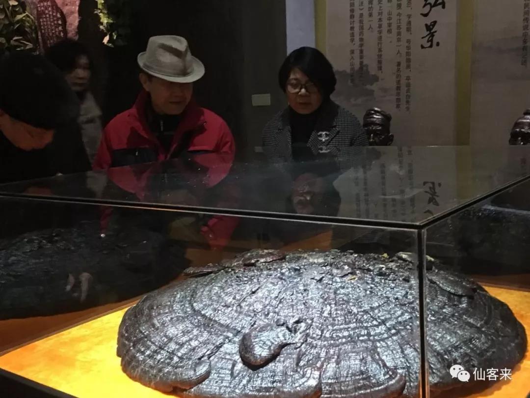 中國靈芝十大品牌|仙客來靈芝|仙客來靈芝破壁孢子粉|仙客來孢子油|仙客來靈芝飲片|仙客來破壁孢子粉|仙客來靈芝中藥飲片|馳名商標(biāo)|www.stfilm.cn| 中國靈芝十大品牌|仙客來靈芝|仙客來靈芝破壁孢子粉|仙客來孢子油|仙客來靈芝飲片|仙客來破壁孢子粉|仙客來靈芝中藥飲片|馳名商標(biāo)|www.stfilm.cn|