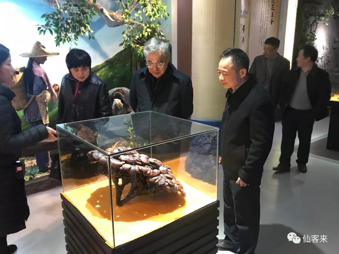 中國(guó)靈芝十大品牌|仙客來(lái)靈芝|仙客來(lái)靈芝破壁孢子粉|仙客來(lái)孢子油|仙客來(lái)靈芝飲片|仙客來(lái)破壁孢子粉|仙客來(lái)靈芝中藥飲片|馳名商標(biāo)|www.stfilm.cn|