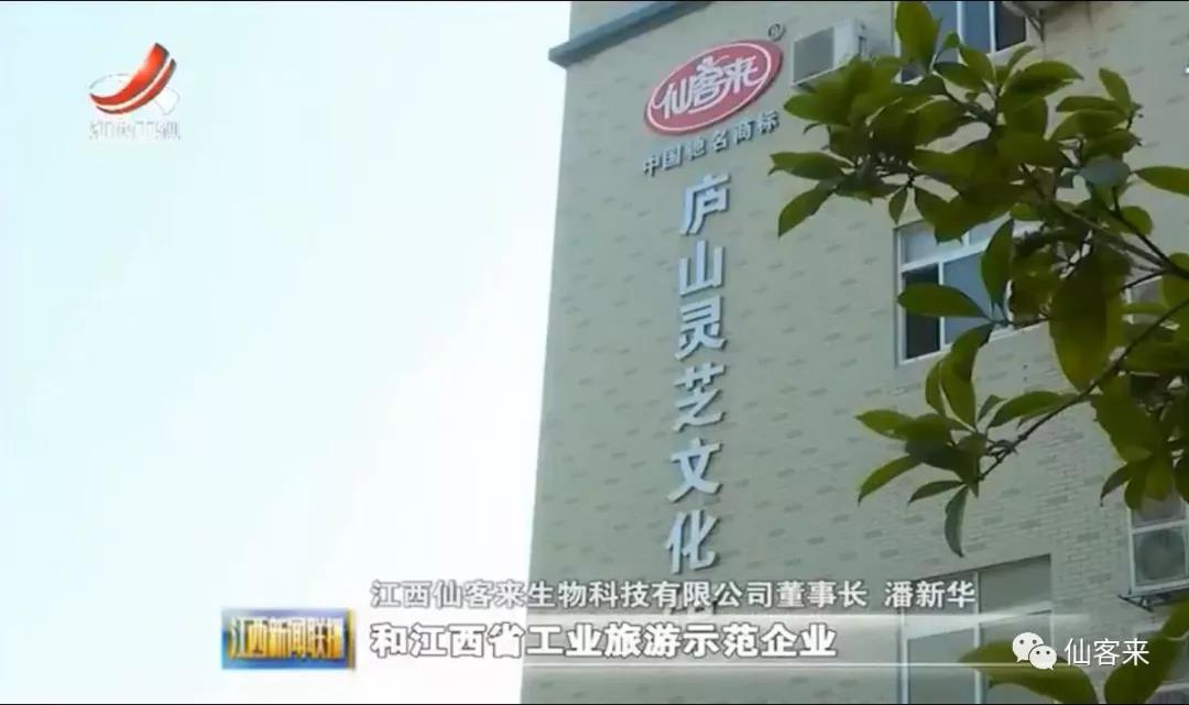 中國(guó)靈芝十大品牌|仙客來(lái)靈芝|仙客來(lái)靈芝破壁孢子粉|仙客來(lái)孢子油|仙客來(lái)靈芝飲片|仙客來(lái)破壁孢子粉|仙客來(lái)靈芝中藥飲片|馳名商標(biāo)|www.stfilm.cn| 中國(guó)靈芝十大品牌|仙客來(lái)靈芝|仙客來(lái)靈芝破壁孢子粉|仙客來(lái)孢子油|仙客來(lái)靈芝飲片|仙客來(lái)破壁孢子粉|仙客來(lái)靈芝中藥飲片|馳名商標(biāo)|www.stfilm.cn|