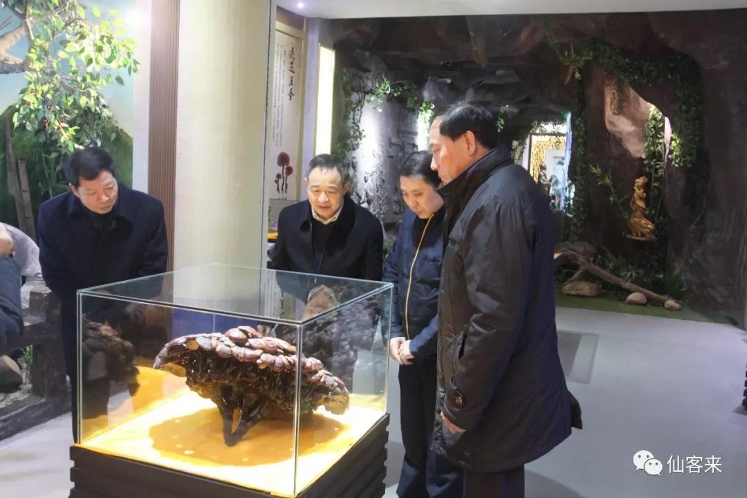 中國靈芝十大品牌|仙客來靈芝|仙客來靈芝破壁孢子粉|仙客來孢子油|仙客來靈芝飲片|仙客來破壁孢子粉|仙客來靈芝中藥飲片|馳名商標(biāo)|www.stfilm.cn| 中國靈芝十大品牌|仙客來靈芝|仙客來靈芝破壁孢子粉|仙客來孢子油|仙客來靈芝飲片|仙客來破壁孢子粉|仙客來靈芝中藥飲片|馳名商標(biāo)|www.stfilm.cn|