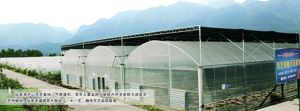 中國靈芝十大品牌|仙客來靈芝|仙客來靈芝破壁孢子粉|仙客來孢子油|仙客來靈芝飲片|仙客來破壁孢子粉|仙客來靈芝中藥飲片|馳名商標(biāo)|www.stfilm.cn|