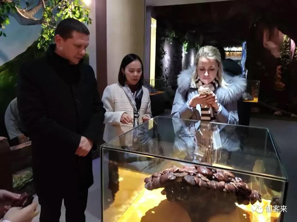 中國(guó)靈芝十大品牌|仙客來(lái)靈芝|仙客來(lái)靈芝破壁孢子粉|仙客來(lái)孢子油|仙客來(lái)靈芝飲片|仙客來(lái)破壁孢子粉|仙客來(lái)靈芝中藥飲片|馳名商標(biāo)|www.stfilm.cn| 中國(guó)靈芝十大品牌|仙客來(lái)靈芝|仙客來(lái)靈芝破壁孢子粉|仙客來(lái)孢子油|仙客來(lái)靈芝飲片|仙客來(lái)破壁孢子粉|仙客來(lái)靈芝中藥飲片|馳名商標(biāo)|www.stfilm.cn|