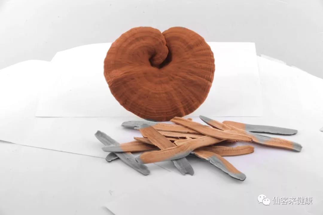 中國靈芝十大品牌|仙客來靈芝|仙客來靈芝破壁孢子粉|仙客來孢子油|仙客來靈芝飲片|仙客來破壁孢子粉|仙客來靈芝中藥飲片|馳名商標(biāo)|www.stfilm.cn| 中國靈芝十大品牌|仙客來靈芝|仙客來靈芝破壁孢子粉|仙客來孢子油|仙客來靈芝飲片|仙客來破壁孢子粉|仙客來靈芝中藥飲片|馳名商標(biāo)|www.stfilm.cn|