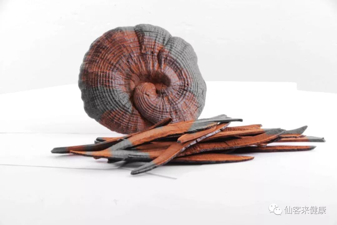 中國靈芝十大品牌|仙客來靈芝|仙客來靈芝破壁孢子粉|仙客來孢子油|仙客來靈芝飲片|仙客來破壁孢子粉|仙客來靈芝中藥飲片|馳名商標(biāo)|www.stfilm.cn| 中國靈芝十大品牌|仙客來靈芝|仙客來靈芝破壁孢子粉|仙客來孢子油|仙客來靈芝飲片|仙客來破壁孢子粉|仙客來靈芝中藥飲片|馳名商標(biāo)|www.stfilm.cn|