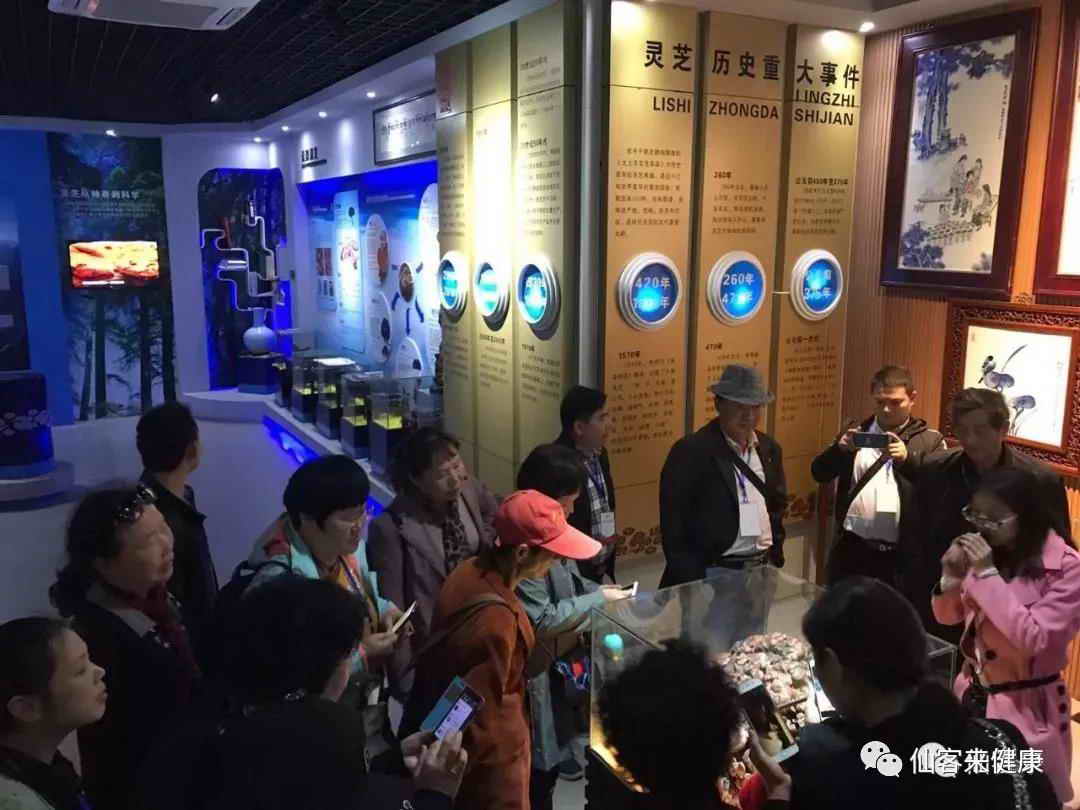 中國靈芝十大品牌|仙客來靈芝|仙客來靈芝破壁孢子粉|仙客來孢子油|仙客來靈芝飲片|仙客來破壁孢子粉|仙客來靈芝中藥飲片|馳名商標|www.stfilm.cn|