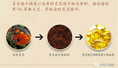 中國靈芝十大品牌|仙客來靈芝|仙客來靈芝破壁孢子粉|仙客來孢子油|仙客來靈芝飲片|仙客來破壁孢子粉|仙客來靈芝中藥飲片|馳名商標|www.stfilm.cn| 中國靈芝十大品牌|仙客來靈芝|仙客來靈芝破壁孢子粉|仙客來孢子油|仙客來靈芝飲片|仙客來破壁孢子粉|仙客來靈芝中藥飲片|馳名商標|www.stfilm.cn|