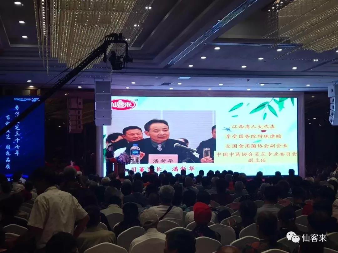 中國(guó)靈芝十大品牌|仙客來靈芝|仙客來靈芝破壁孢子粉|仙客來孢子油|仙客來靈芝飲片|仙客來破壁孢子粉|仙客來靈芝中藥飲片|馳名商標(biāo)|www.stfilm.cn| 中國(guó)靈芝十大品牌|仙客來靈芝|仙客來靈芝破壁孢子粉|仙客來孢子油|仙客來靈芝飲片|仙客來破壁孢子粉|仙客來靈芝中藥飲片|馳名商標(biāo)|www.stfilm.cn|