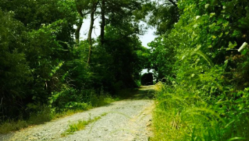 中國靈芝十大品牌|仙客來靈芝|仙客來靈芝破壁孢子粉|仙客來孢子油|仙客來靈芝飲片|仙客來破壁孢子粉|仙客來靈芝中藥飲片|馳名商標|www.stfilm.cn|