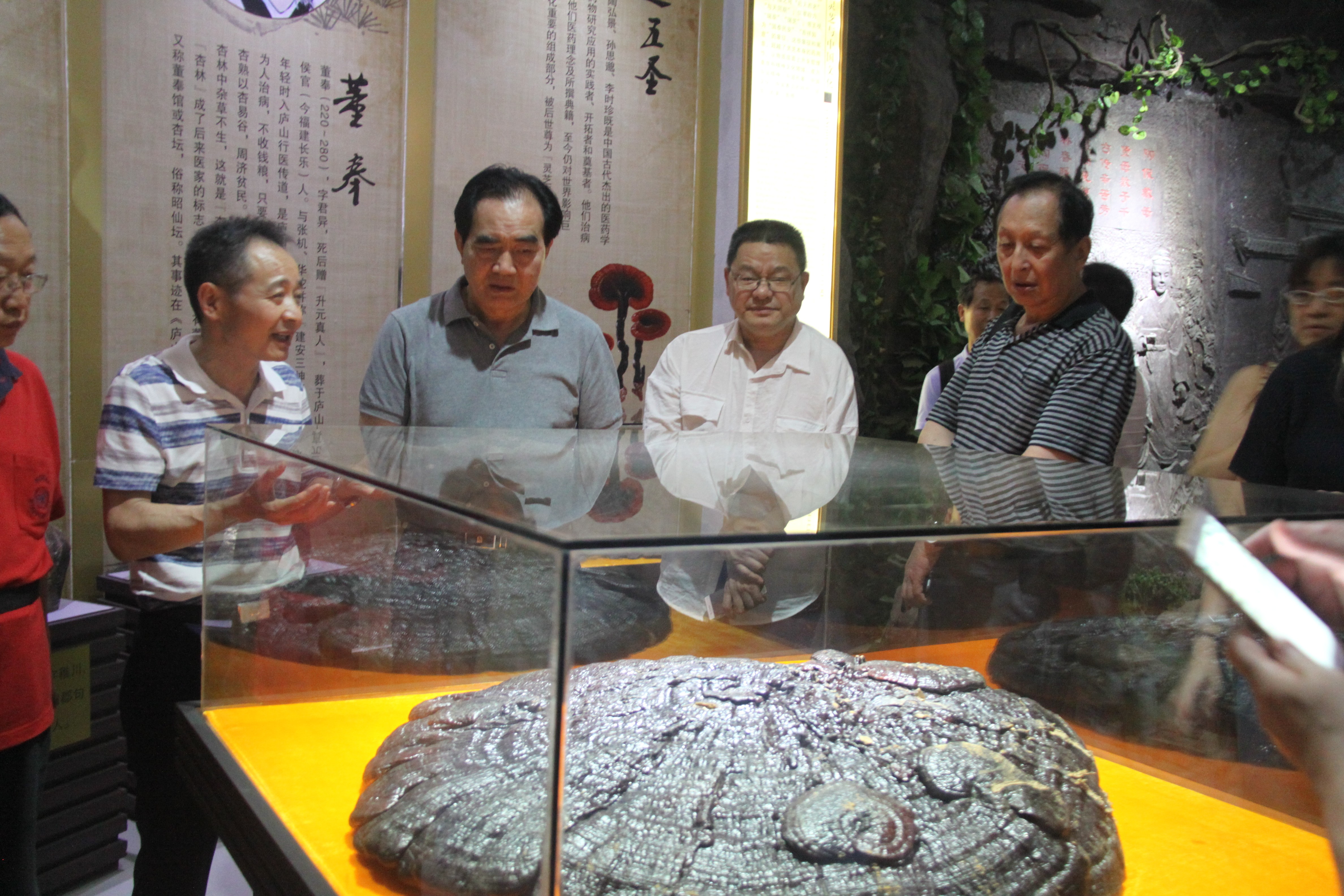 中國(guó)靈芝十大品牌|仙客來(lái)靈芝|仙客來(lái)靈芝破壁孢子粉|仙客來(lái)孢子油|仙客來(lái)靈芝飲片|仙客來(lái)破壁孢子粉|仙客來(lái)靈芝中藥飲片|馳名商標(biāo)|www.stfilm.cn|