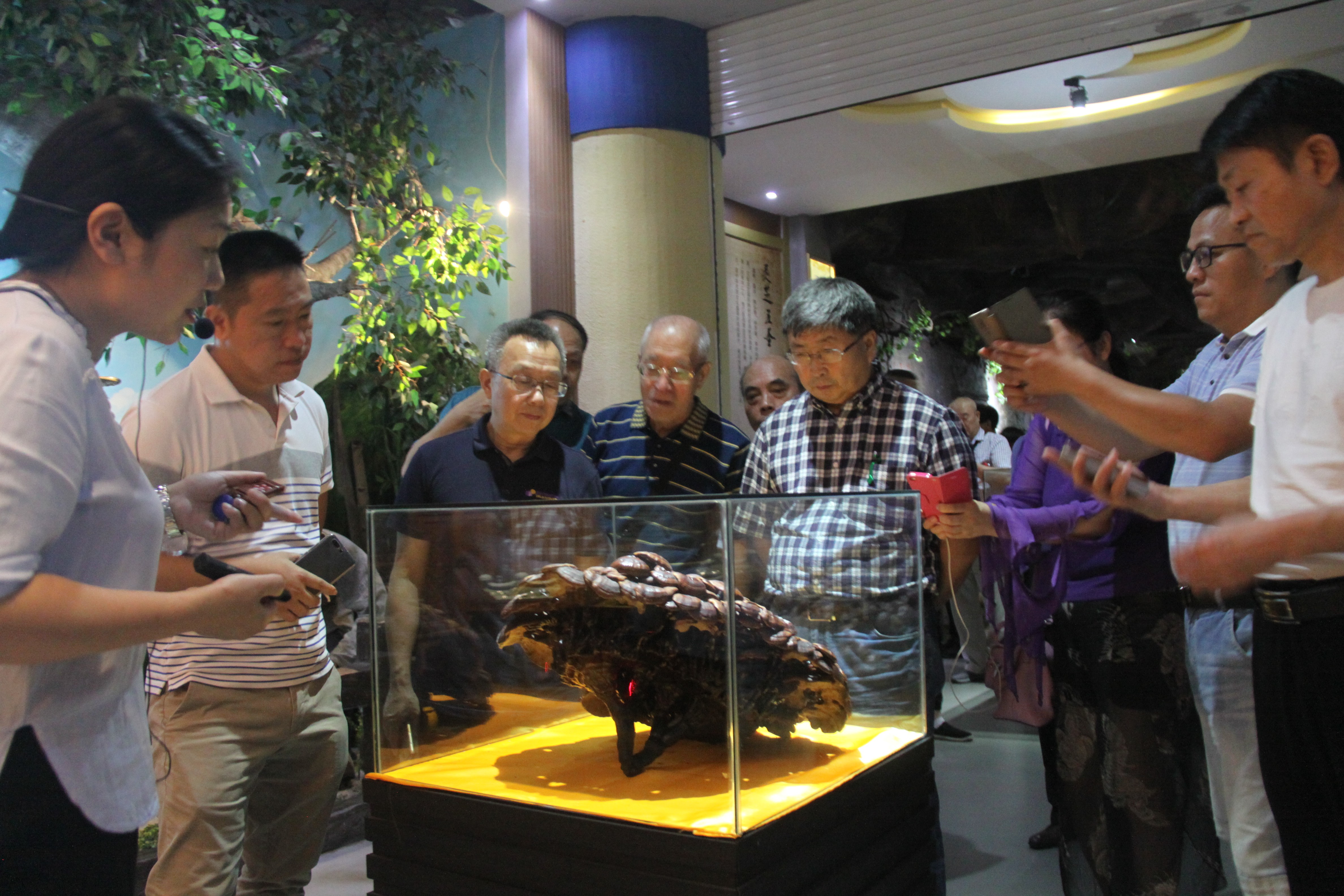 中國(guó)靈芝十大品牌|仙客來(lái)靈芝|仙客來(lái)靈芝破壁孢子粉|仙客來(lái)孢子油|仙客來(lái)靈芝飲片|仙客來(lái)破壁孢子粉|仙客來(lái)靈芝中藥飲片|馳名商標(biāo)|www.stfilm.cn|