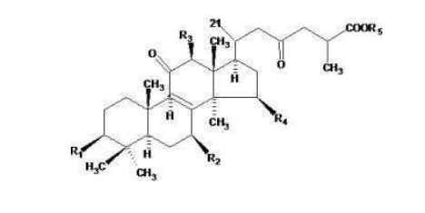 中國(guó)靈芝十大品牌|仙客來(lái)靈芝|仙客來(lái)靈芝破壁孢子粉|仙客來(lái)孢子油|仙客來(lái)靈芝飲片|仙客來(lái)破壁孢子粉|仙客來(lái)靈芝中藥飲片|馳名商標(biāo)|www.stfilm.cn| 中國(guó)靈芝十大品牌|仙客來(lái)靈芝|仙客來(lái)靈芝破壁孢子粉|仙客來(lái)孢子油|仙客來(lái)靈芝飲片|仙客來(lái)破壁孢子粉|仙客來(lái)靈芝中藥飲片|馳名商標(biāo)|www.stfilm.cn|