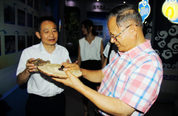 中國靈芝十大品牌|仙客來靈芝|仙客來靈芝破壁孢子粉|仙客來孢子油|仙客來靈芝飲片|仙客來破壁孢子粉|仙客來靈芝中藥飲片|馳名商標|www.stfilm.cn|
