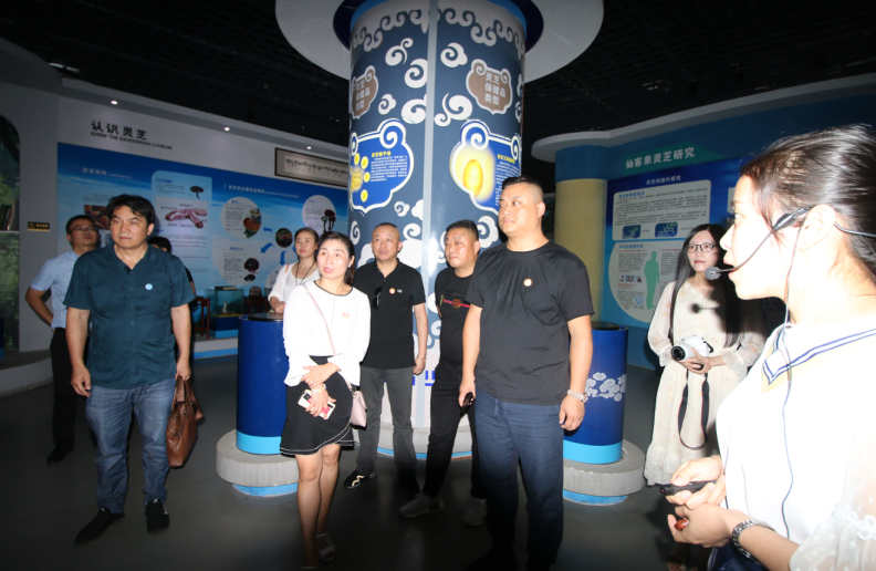 中國靈芝十大品牌|仙客來靈芝|仙客來靈芝破壁孢子粉|仙客來孢子油|仙客來靈芝飲片|仙客來破壁孢子粉|仙客來靈芝中藥飲片|馳名商標|www.stfilm.cn|