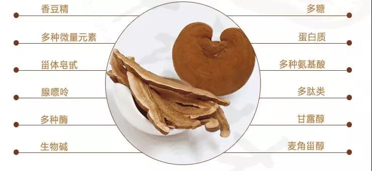 中國靈芝十大品牌|仙客來靈芝|仙客來靈芝破壁孢子粉|仙客來孢子油|仙客來靈芝飲片|仙客來破壁孢子粉|仙客來靈芝中藥飲片|馳名商標|www.stfilm.cn| 中國靈芝十大品牌|仙客來靈芝|仙客來靈芝破壁孢子粉|仙客來孢子油|仙客來靈芝飲片|仙客來破壁孢子粉|仙客來靈芝中藥飲片|馳名商標|www.stfilm.cn|