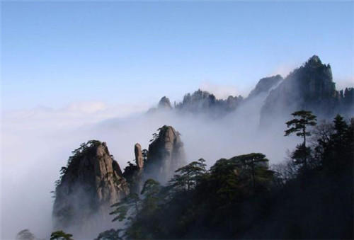 中國靈芝十大品牌|仙客來靈芝|仙客來靈芝破壁孢子粉|仙客來孢子油|仙客來靈芝飲片|仙客來破壁孢子粉|仙客來靈芝中藥飲片|馳名商標|www.stfilm.cn|