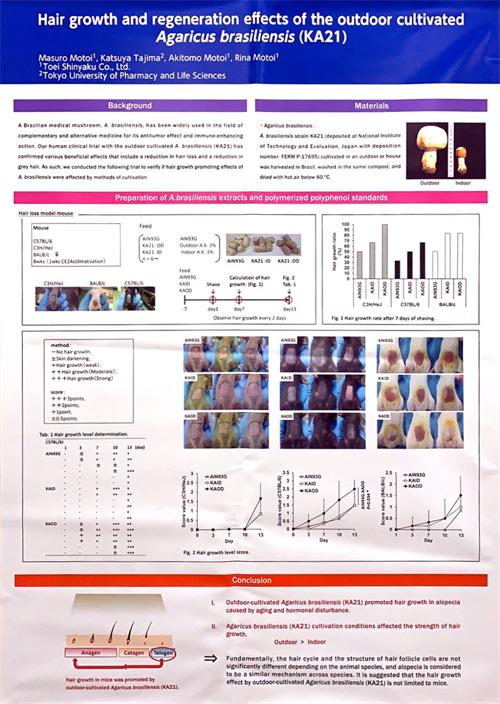中國(guó)靈芝十大品牌|仙客來(lái)靈芝|仙客來(lái)靈芝破壁孢子粉|仙客來(lái)孢子油|仙客來(lái)靈芝飲片|仙客來(lái)破壁孢子粉|仙客來(lái)靈芝中藥飲片|馳名商標(biāo)|www.stfilm.cn| 中國(guó)靈芝十大品牌|仙客來(lái)靈芝|仙客來(lái)靈芝破壁孢子粉|仙客來(lái)孢子油|仙客來(lái)靈芝飲片|仙客來(lái)破壁孢子粉|仙客來(lái)靈芝中藥飲片|馳名商標(biāo)|www.stfilm.cn|