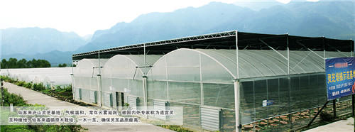 中國靈芝十大品牌|仙客來靈芝|仙客來靈芝破壁孢子粉|仙客來孢子油|仙客來靈芝飲片|仙客來破壁孢子粉|仙客來靈芝中藥飲片|馳名商標(biāo)|www.stfilm.cn| 中國靈芝十大品牌|仙客來靈芝|仙客來靈芝破壁孢子粉|仙客來孢子油|仙客來靈芝飲片|仙客來破壁孢子粉|仙客來靈芝中藥飲片|馳名商標(biāo)|www.stfilm.cn|