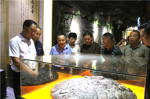 中國(guó)靈芝十大品牌|仙客來(lái)靈芝|仙客來(lái)靈芝破壁孢子粉|仙客來(lái)孢子油|仙客來(lái)靈芝飲片|仙客來(lái)破壁孢子粉|仙客來(lái)靈芝中藥飲片|馳名商標(biāo)|www.stfilm.cn| 中國(guó)靈芝十大品牌|仙客來(lái)靈芝|仙客來(lái)靈芝破壁孢子粉|仙客來(lái)孢子油|仙客來(lái)靈芝飲片|仙客來(lái)破壁孢子粉|仙客來(lái)靈芝中藥飲片|馳名商標(biāo)|www.stfilm.cn|