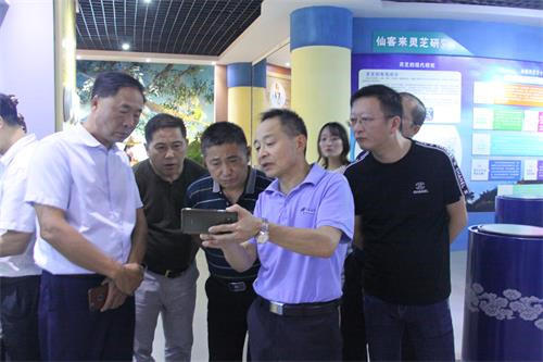 中國(guó)靈芝十大品牌|仙客來(lái)靈芝|仙客來(lái)靈芝破壁孢子粉|仙客來(lái)孢子油|仙客來(lái)靈芝飲片|仙客來(lái)破壁孢子粉|仙客來(lái)靈芝中藥飲片|馳名商標(biāo)|www.stfilm.cn| 中國(guó)靈芝十大品牌|仙客來(lái)靈芝|仙客來(lái)靈芝破壁孢子粉|仙客來(lái)孢子油|仙客來(lái)靈芝飲片|仙客來(lái)破壁孢子粉|仙客來(lái)靈芝中藥飲片|馳名商標(biāo)|www.stfilm.cn|